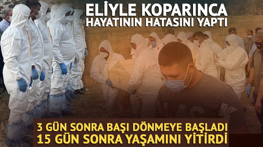 Bir ısırıkla başı d&ouml;nd&uuml;, iştahtan kesildi... 15 g&uuml;n sonra hayatını kaybetti