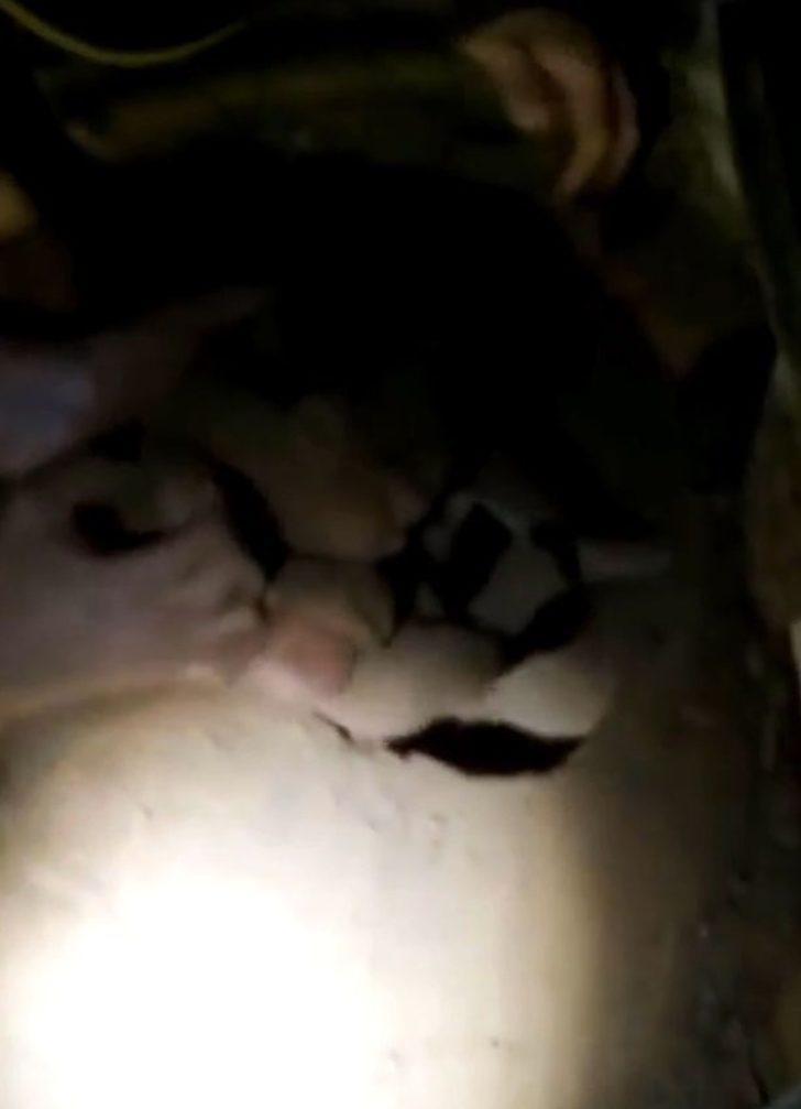 Öldü sanıp diri diri mezara gömdüler!  G5