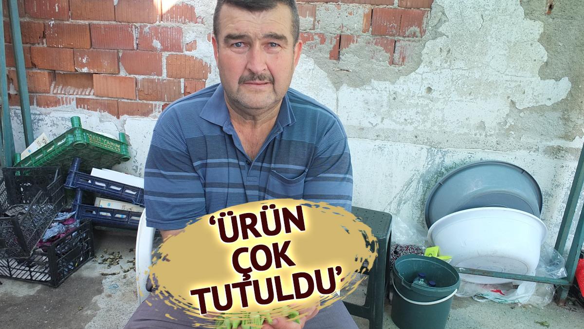 'Sayesinde cebimiz para gördü' Fiyatlar tavan yaptı