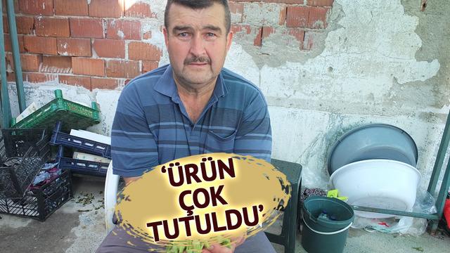 'Sayesinde cebimiz para gördü' Fiyatlar tavan yaptı