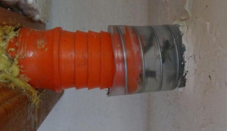  Merak bunu da yaptırdı! Evde onlarla yaşıyor G2