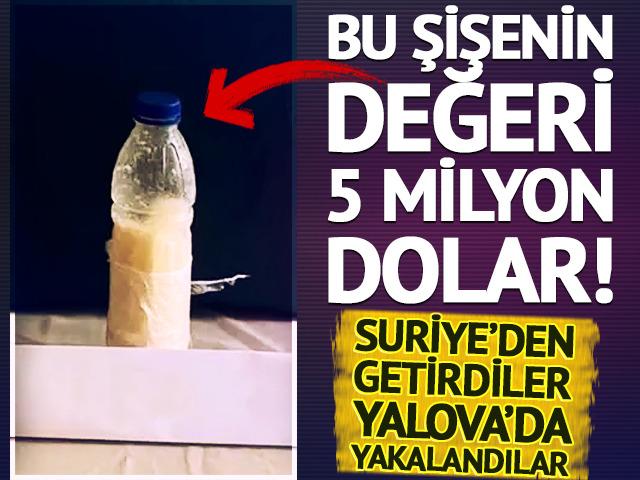 Suriye&rsquo;den T&uuml;rkiye&rsquo;ye getirmişler! 500 gramı 5 milyon dolar