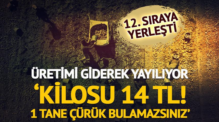 Giderek yayılıyor: 'Kilosu 14 TL, bir tane &ccedil;&uuml;r&uuml;k bulamazsınız'