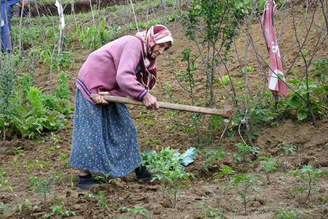 80 yaşında çalışıp tarlada üretiyor, pazarda satıyor