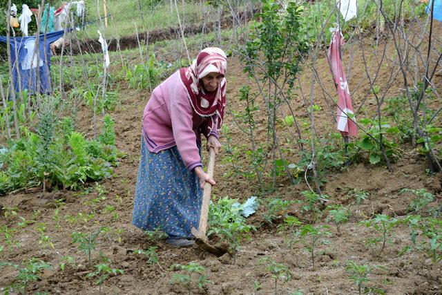 80 yaşında çalışıp tarlada üretiyor, pazarda satıyor