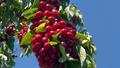 Ge�en y�lki tablodan eser yok: F��k�rd� 'De�erinin alt�nda'
