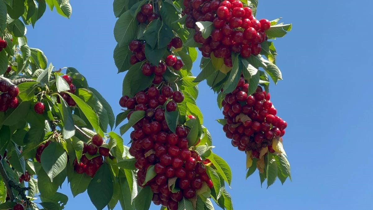 Geçen yılki tablodan eser yok: Fışkırdı Değerinin altında 2