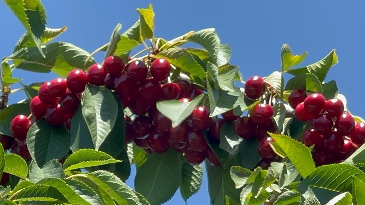 Geçen yılki tablodan eser yok: Fışkırdı Değerinin altında 3