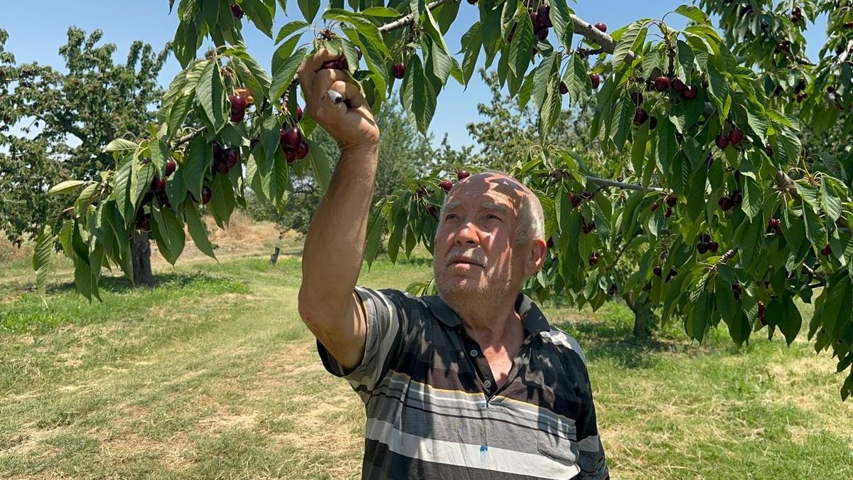 Geçen yılki tablodan eser yok: Fışkırdı Değerinin altında 5