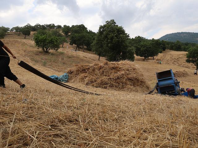 1200 rakımda imece usul&uuml; yapıyorlar: Makine giremiyor