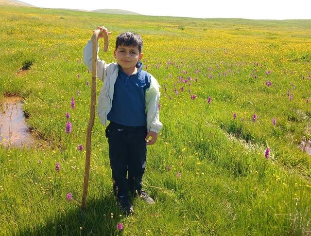 Hakkari’nin zirveleri çiçeklerle renklendi 5