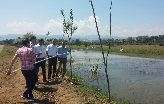 Tarımsal sularda nitrat kirliliği konusunda uyarı