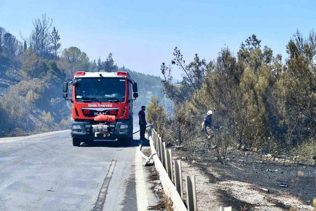 İzmir İtfaiyesi bukalemunu hayata döndürdü 3