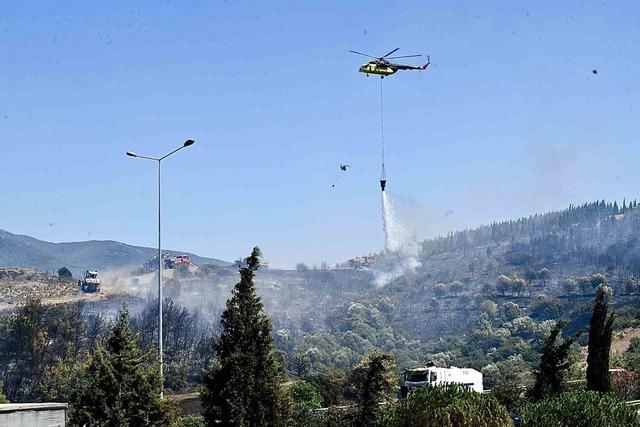 İzmir İtfaiyesi bukalemunu hayata döndürdü 1