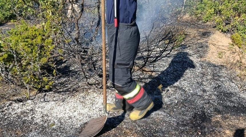 Bing&ouml;l&rsquo;de yol kenarında &ccedil;ıkan yangın s&ouml;nd&uuml;r&uuml;ld&uuml;