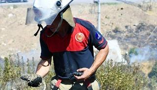 İzmir'de orman yangınında kurtarılan bukalemun doğaya bırakıldı