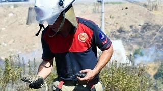 İzmir'de orman yangınında kurtarılan bukalemun doğaya bırakıldı