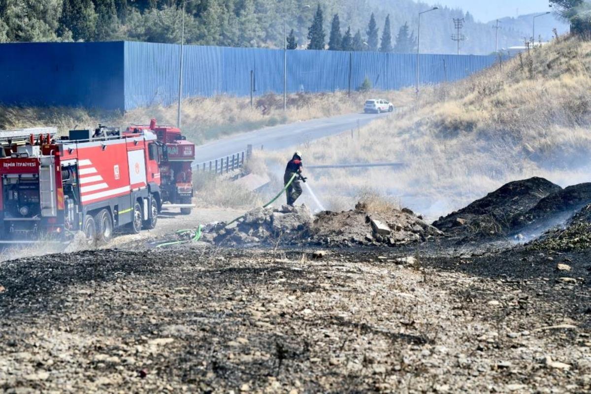 İzmir İtfaiyesi bukalemunu hayata döndürdü 1