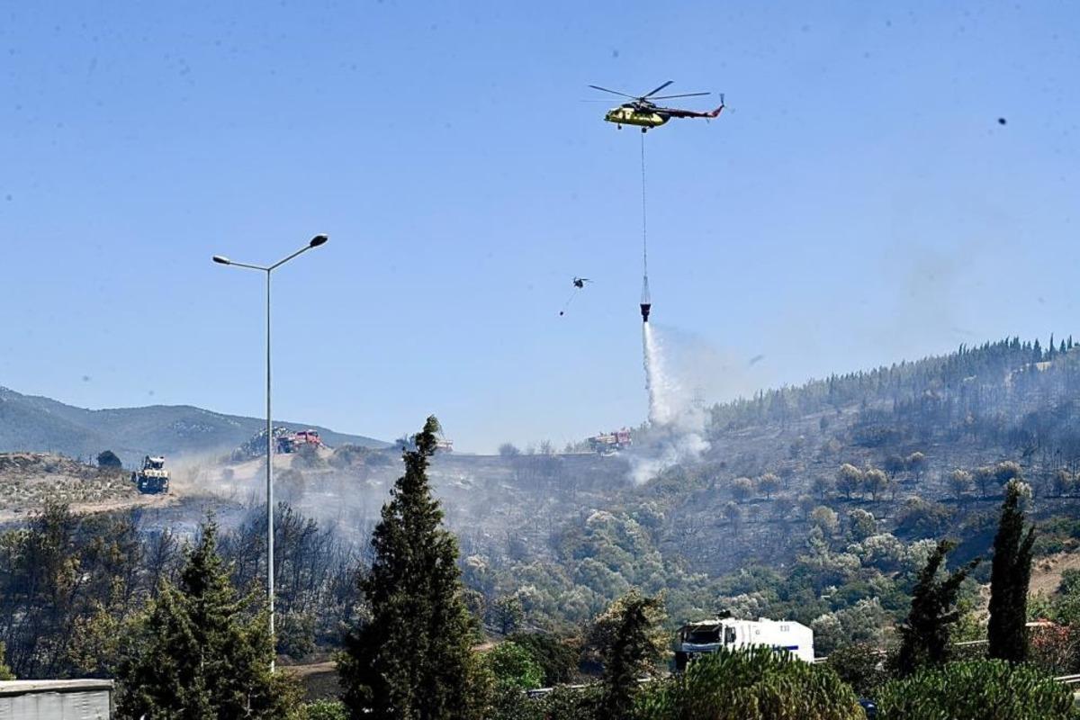 İzmir İtfaiyesi bukalemunu hayata döndürdü 2