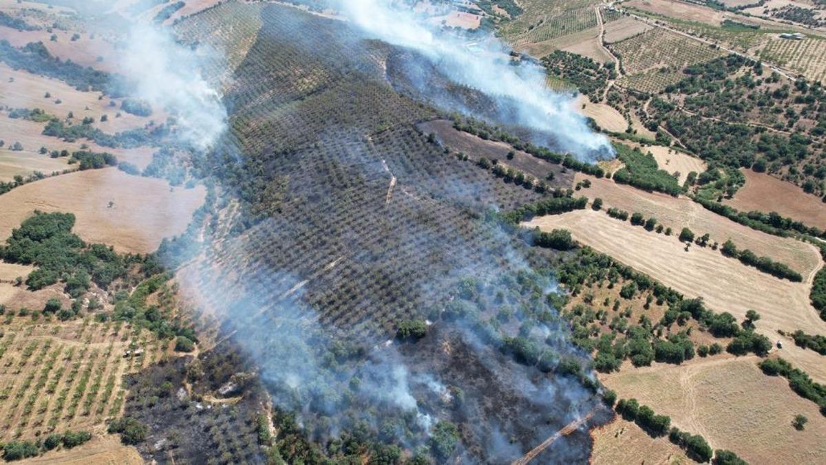 Ormanlık alanda yangın: 15 hektar alan küle döndü 1