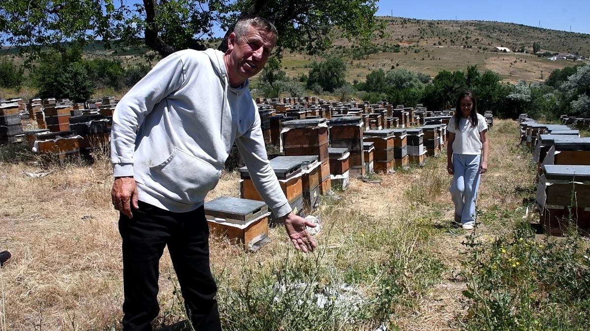 B&ouml;lgenin potansiyelini g&ouml;ren bir bir taşınıyor:  Hi&ccedil; bitmiyor  2