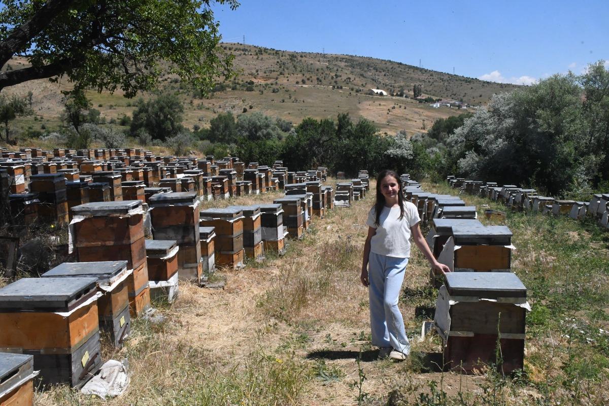 B&ouml;lgenin potansiyelini g&ouml;ren bir bir taşınıyor:  Hi&ccedil; bitmiyor  4