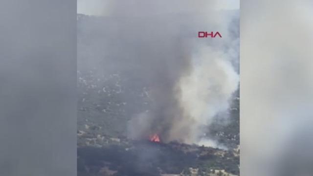 İzmir'de ormanlık alanda yangın! Havadan ve karadan müdahale ediliyor