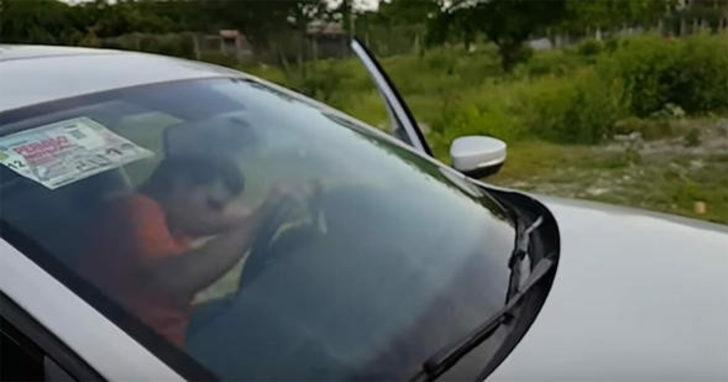 İşte hırsızların yeni taktiği  G3