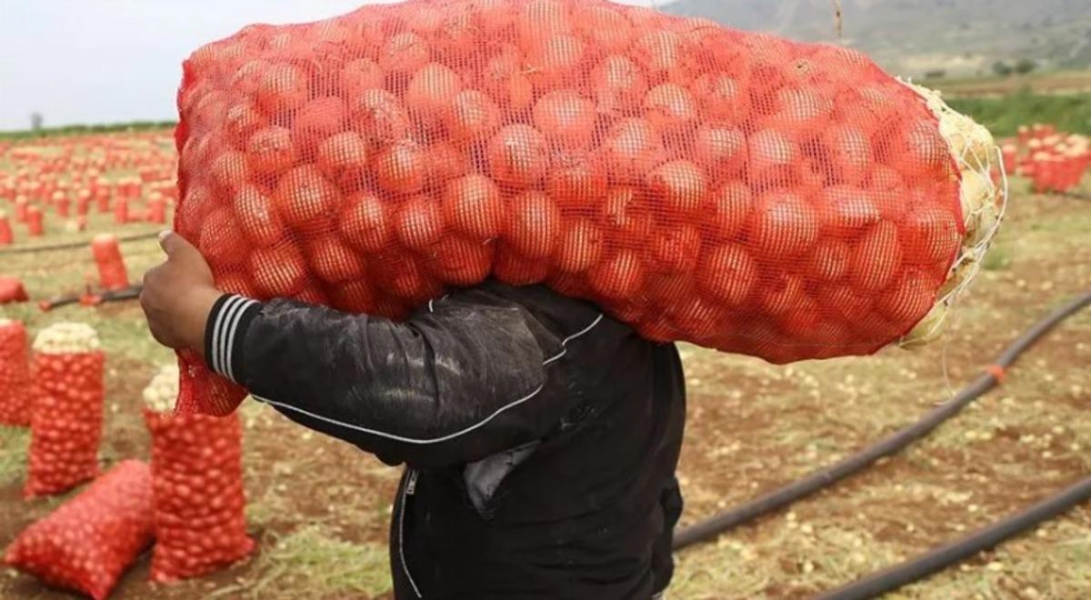 Fiyatı 75 TL yi buldu: Soğandan sonra sıra patateste mi? 1