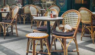 Restoran ve kafelerde bir d&ouml;nem bitiyor! Ne bah&ccedil;ede ne terasta, hi&ccedil;bir yerde olmayacaklar