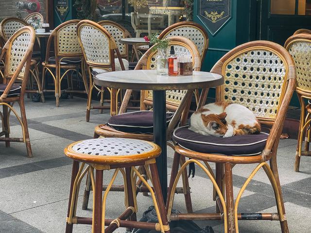 Restoran ve kafelerde bir d&ouml;nem bitiyor! Ne bah&ccedil;ede ne terasta, hi&ccedil;bir yerde olmayacaklar