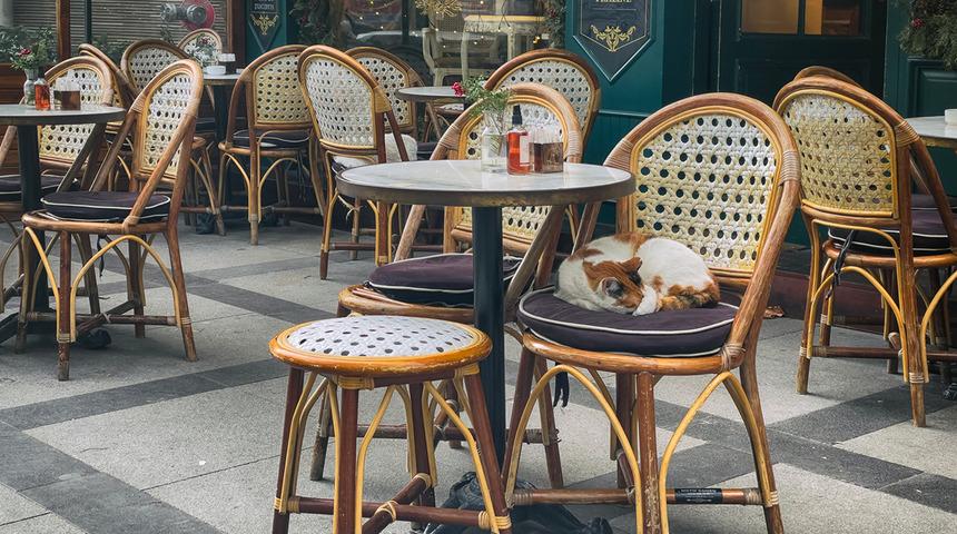 Restoran ve kafelerde bir d&ouml;nem bitiyor! Ne bah&ccedil;ede ne terasta, hi&ccedil;bir yerde olmayacaklar