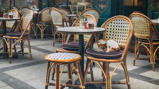 Restoran ve kafelerde bir dönem bitiyor! Ne bahçede ne terasta, hiçbir yerde olmayacaklar