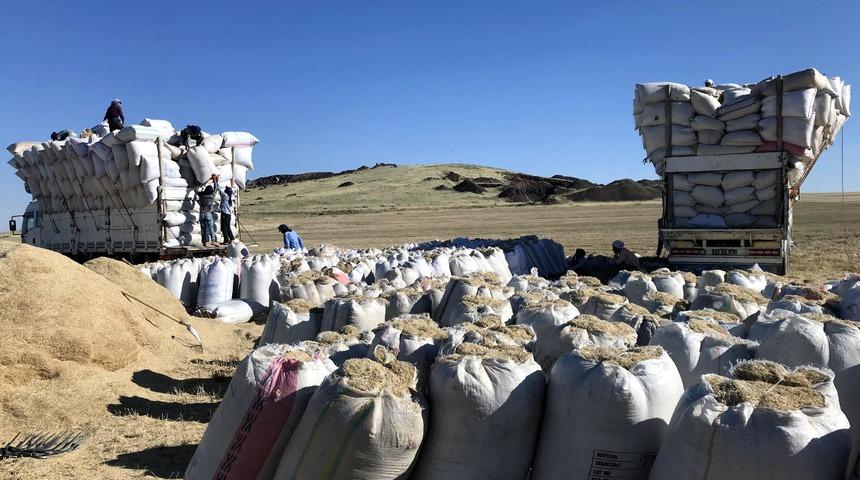 Samanın fiyatı, geçen yıla oranla yüzde 100 arttı