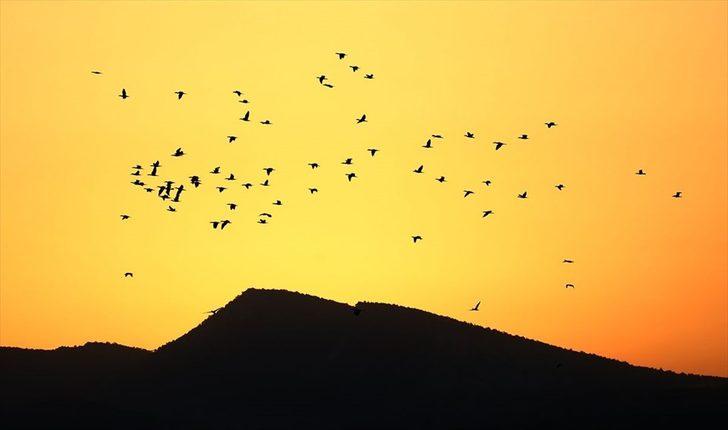 Fotoğraf avcıları Nallıhan’da buluştu  G1