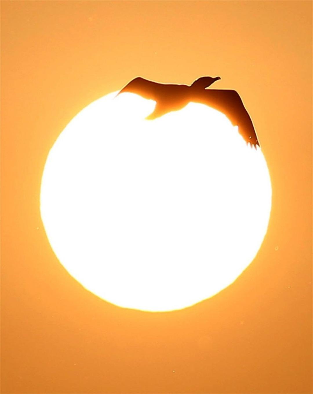 Fotoğraf avcıları Nallıhan&rsquo;da buluştu 