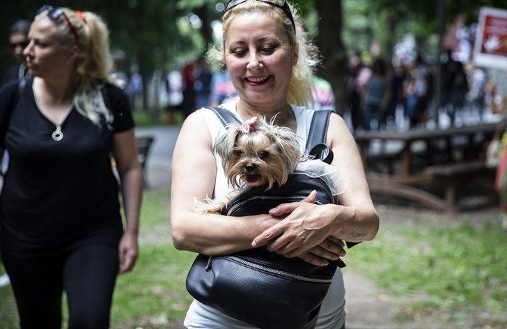 Hayvanlara yönelik şiddet protesto edildi  G4