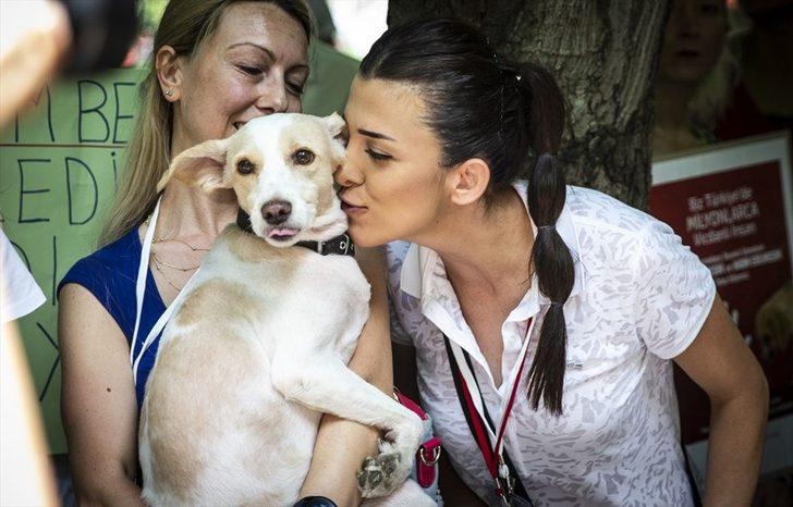 Hayvanlara yönelik şiddet protesto edildi  G5