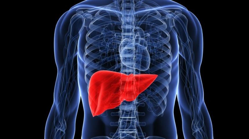 Karaciğer yetmezliği belirtileri nelerdir?