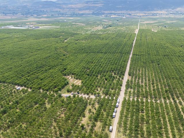 Tarla sınırlarını kaldırdılar: Hem kira alıyorlar hem &ccedil;alışıyorlar