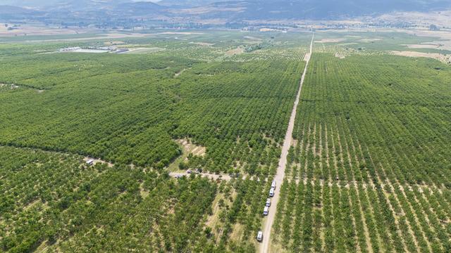 Tarla sınırlarını kaldırdılar: Hem kira alıyorlar hem çalışıyorlar