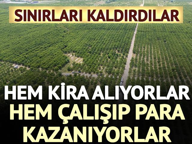 Tarla sınırlarını kaldırdılar: Hem kira alıyorlar hem &ccedil;alışıyorlar