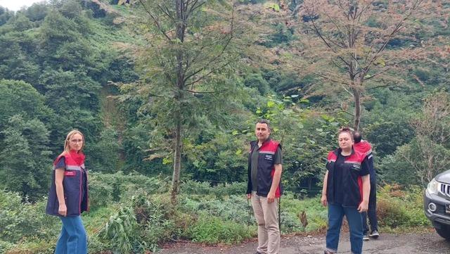 Rize&rsquo;de tarım alanlarını istila eden Amerikan Beyaz Kelebeği i&ccedil;in m&uuml;cadele başladı 2