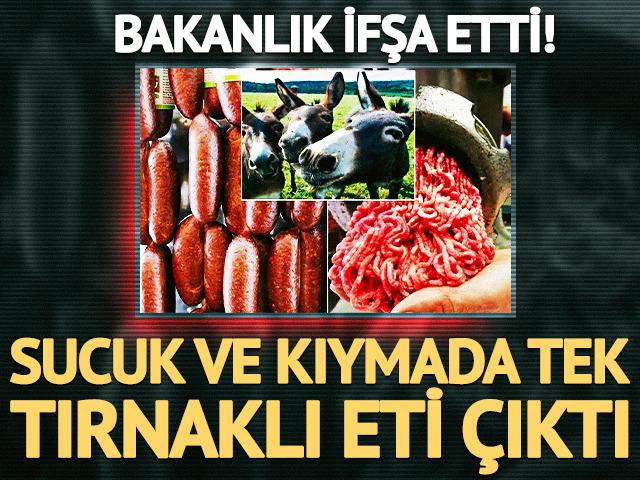 Mersin'de 3 firmanın sucuk ve kıymasında tek tırnaklı eti &ccedil;ıktı