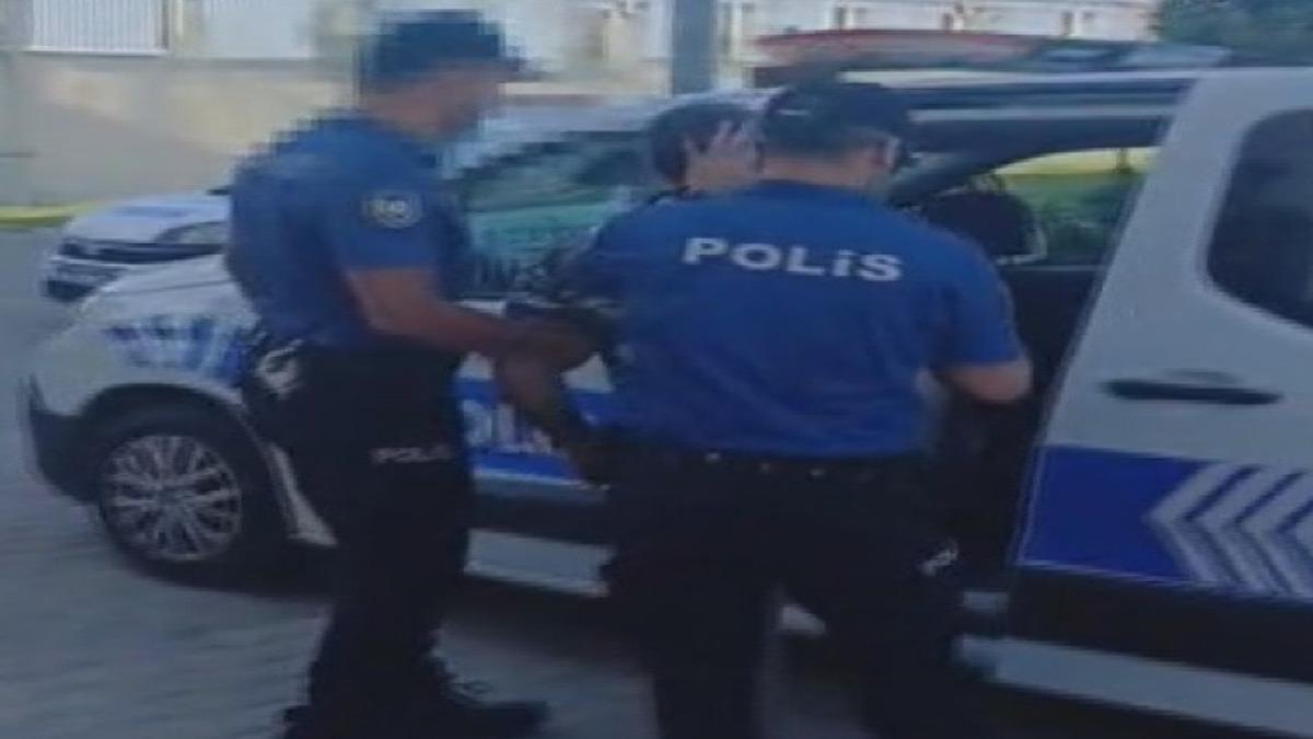 Silivri de aracıyla sokak köpeğine çarpıp ölümüne neden olan sürücü tutuklandı 2