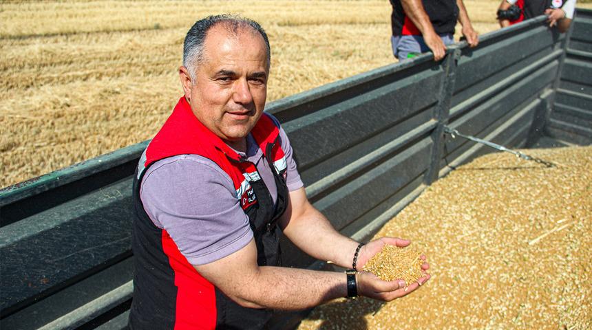 Yerli ve milli 'kirve'nin ilk hasadı yapıldı, &ccedil;ift&ccedil;iye umut oldu