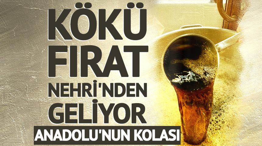 Anadolu'nun kolası: K&ouml;k&uuml; Fırat Nehri'nden geliyor