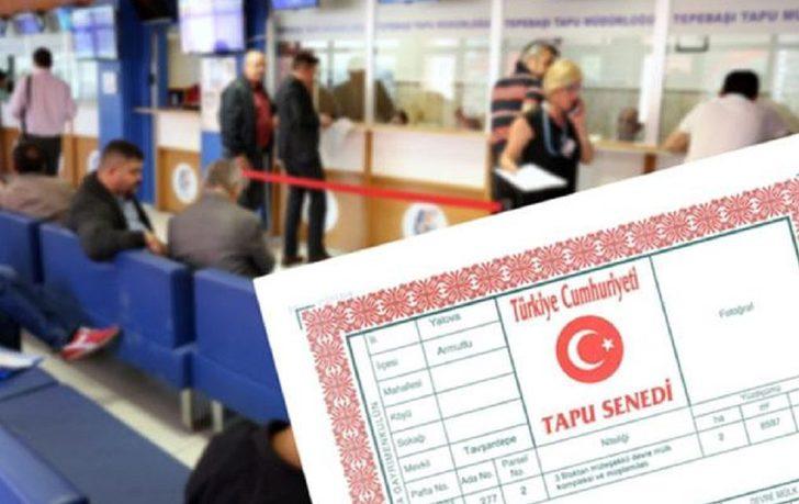 Tapuda üç boyutlu dönem başlıyor G2