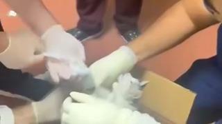 Bu kez hastaya değil, kediye müdahale