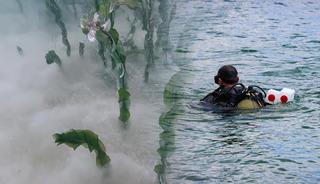 Sapanca G&ouml;l&uuml;'n&uuml;n dibinde bulunmuştu: Sırrı &ccedil;&ouml;z&uuml;ld&uuml;